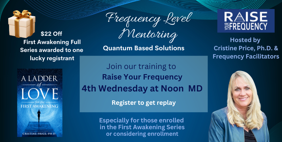 Frequency Level Mentoring